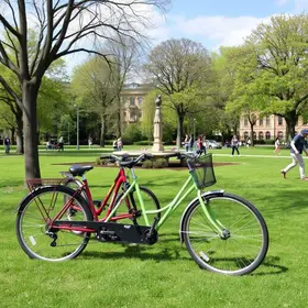 aluguel de bicicletas no Parque da Cidade