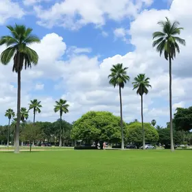 Parque da Cidade