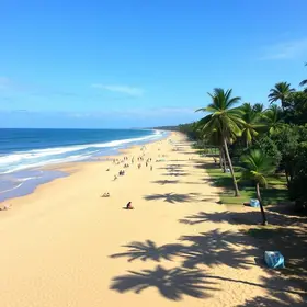 Parque da Cidade